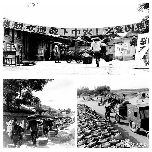 “長在紅旗下”的珍貴安鄉(xiāng)老照片